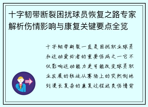 十字韧带断裂困扰球员恢复之路专家解析伤情影响与康复关键要点全览